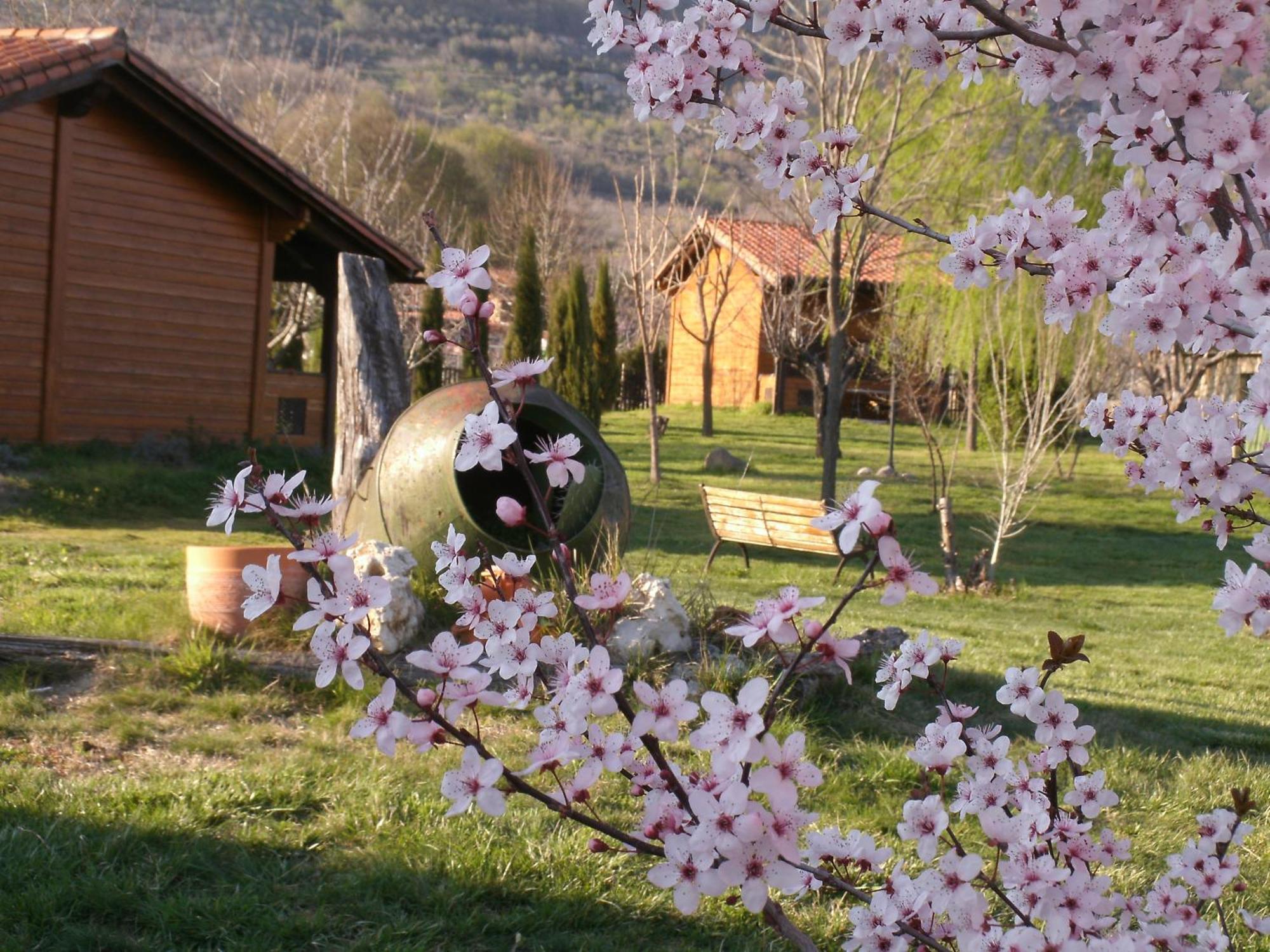 Apartamentos Rurales El Rincon Del Jerte Rebollar  외부 사진