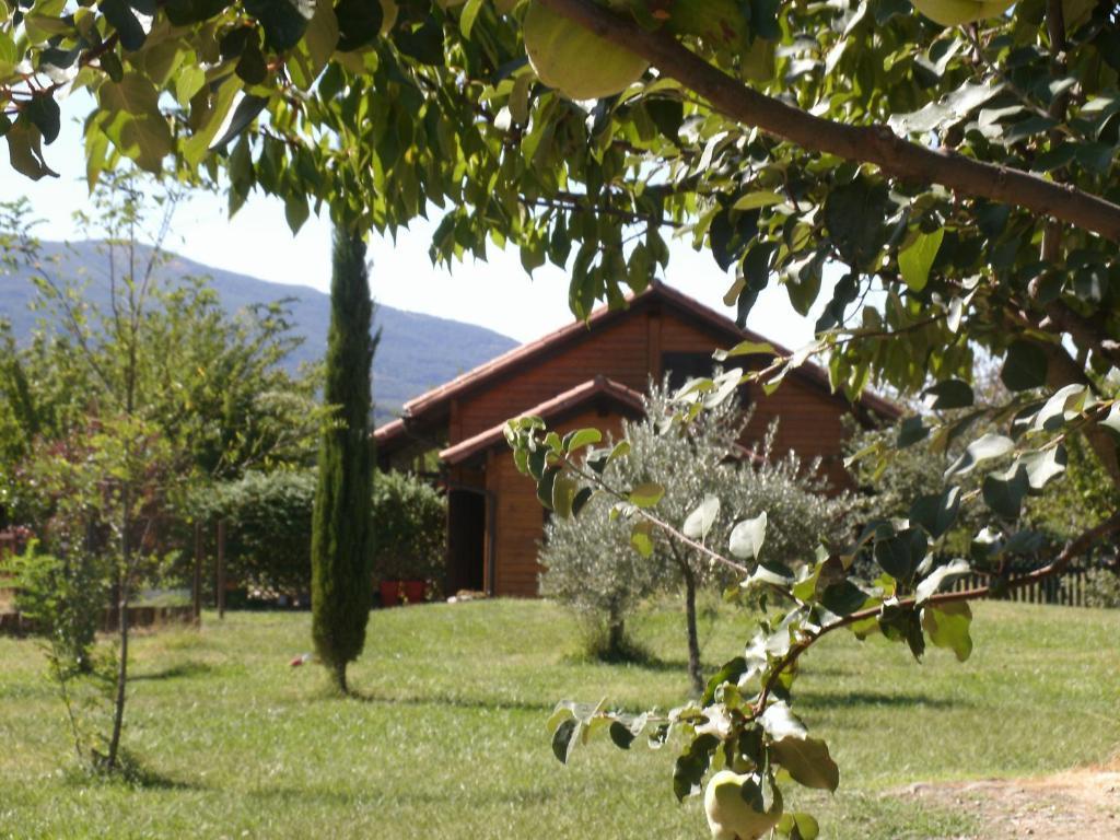 Apartamentos Rurales El Rincon Del Jerte Rebollar  외부 사진